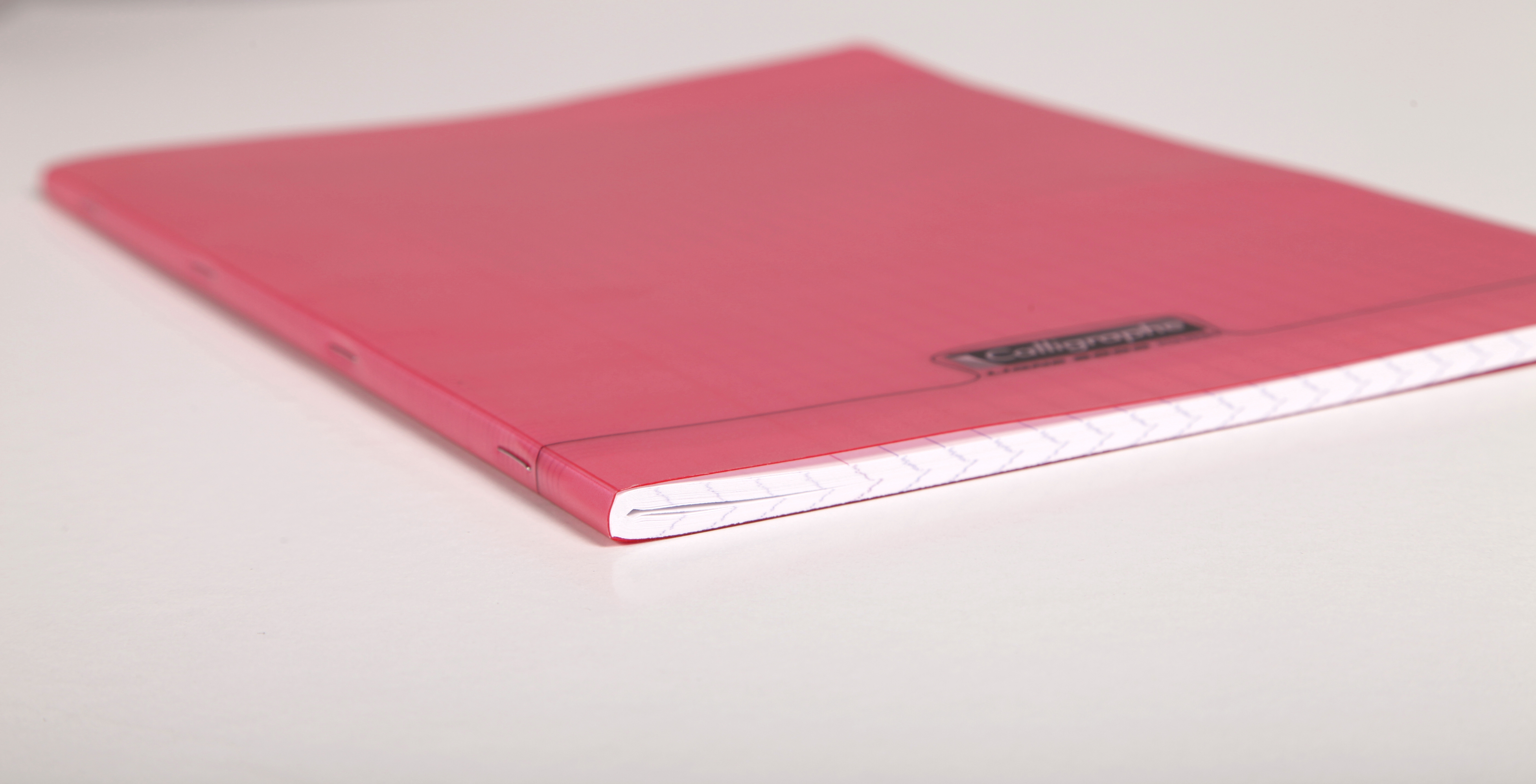 Cahier pique 8000 POLYPRO 24x32 cm 96 pages grands carreaux 90 g