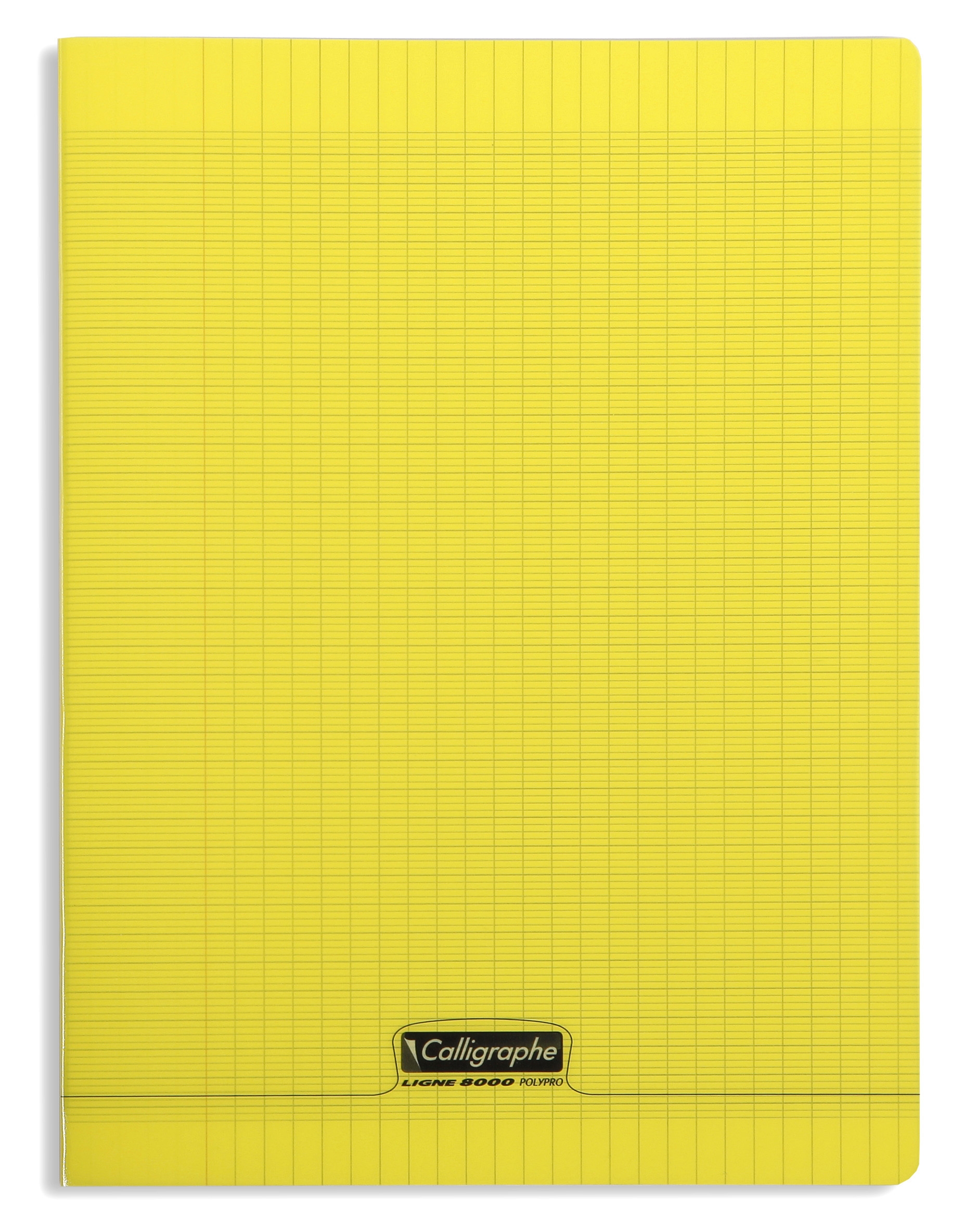 Cahier pique 8000 POLYPRO 24x32 cm 96 pages grands carreaux 90 g