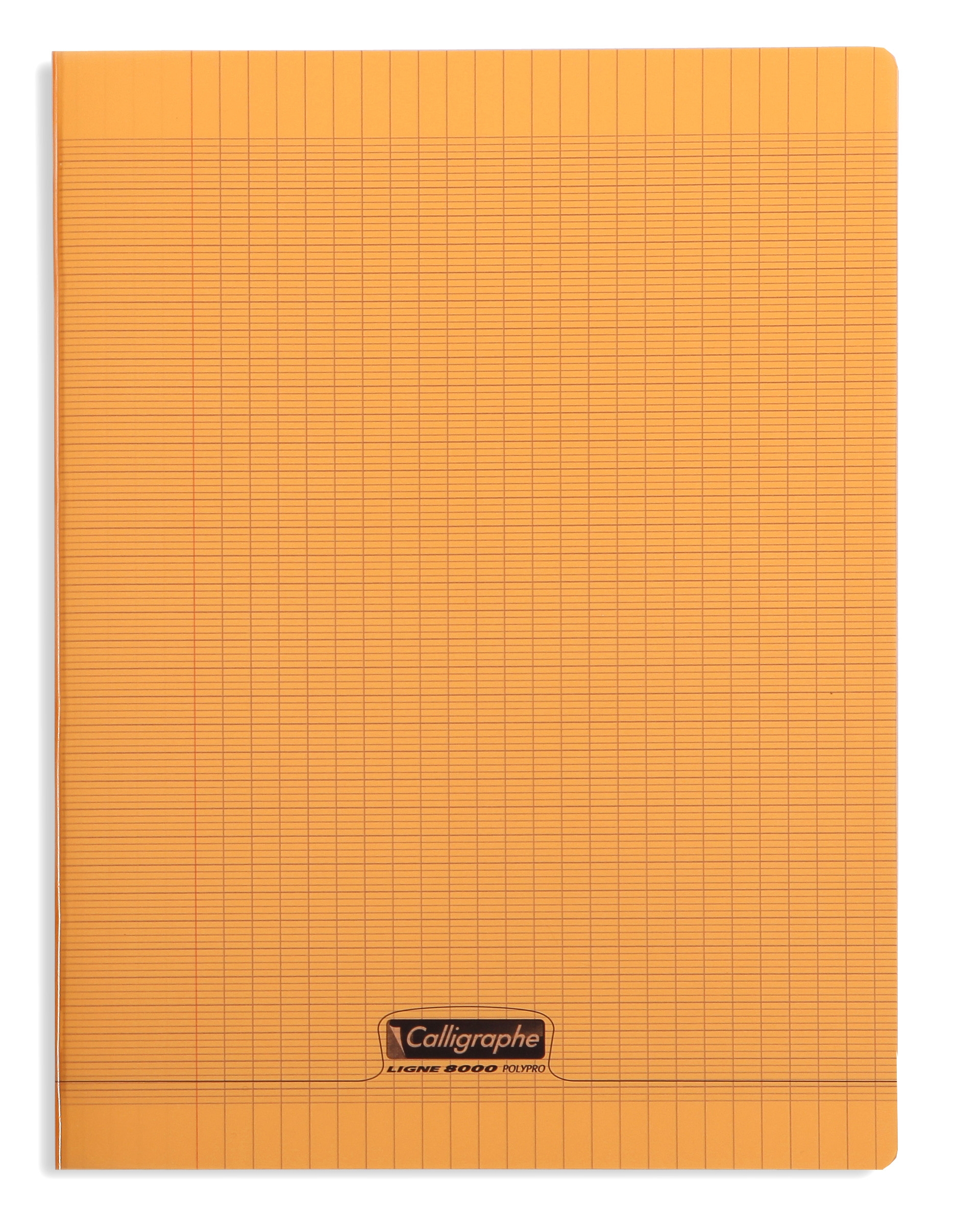 Cahier pique 8000 POLYPRO 24x32 cm 96 pages grands carreaux 90 g