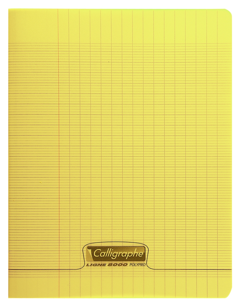 Cahier pique 8000 POLYPRO 17x22 cm 96 pages grands carreaux 90 g