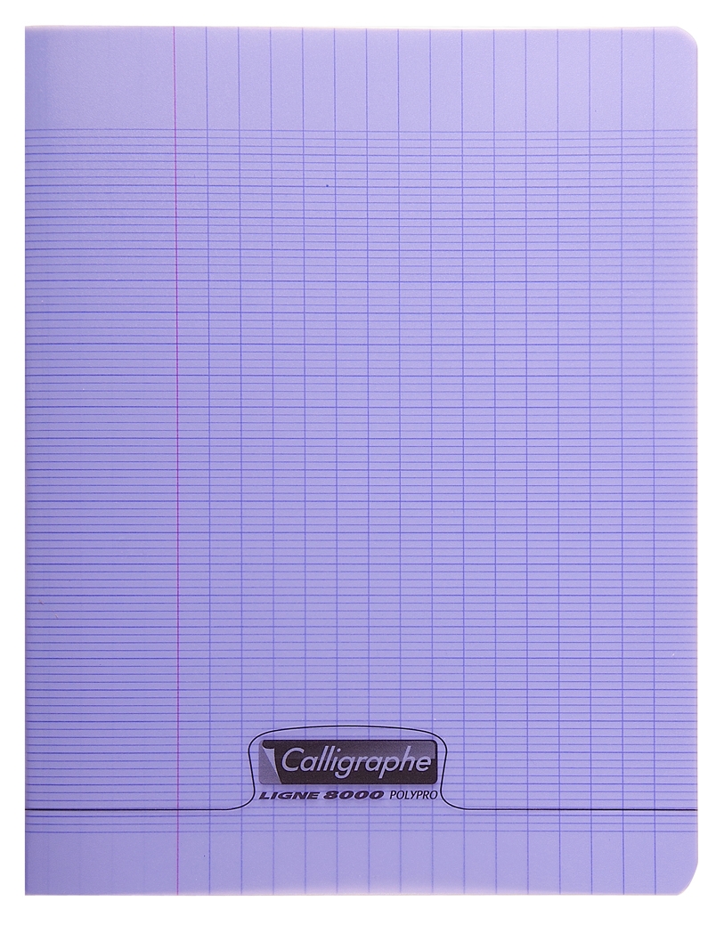 Cahier pique 8000 POLYPRO 17x22 cm 96 pages grands carreaux 90 g