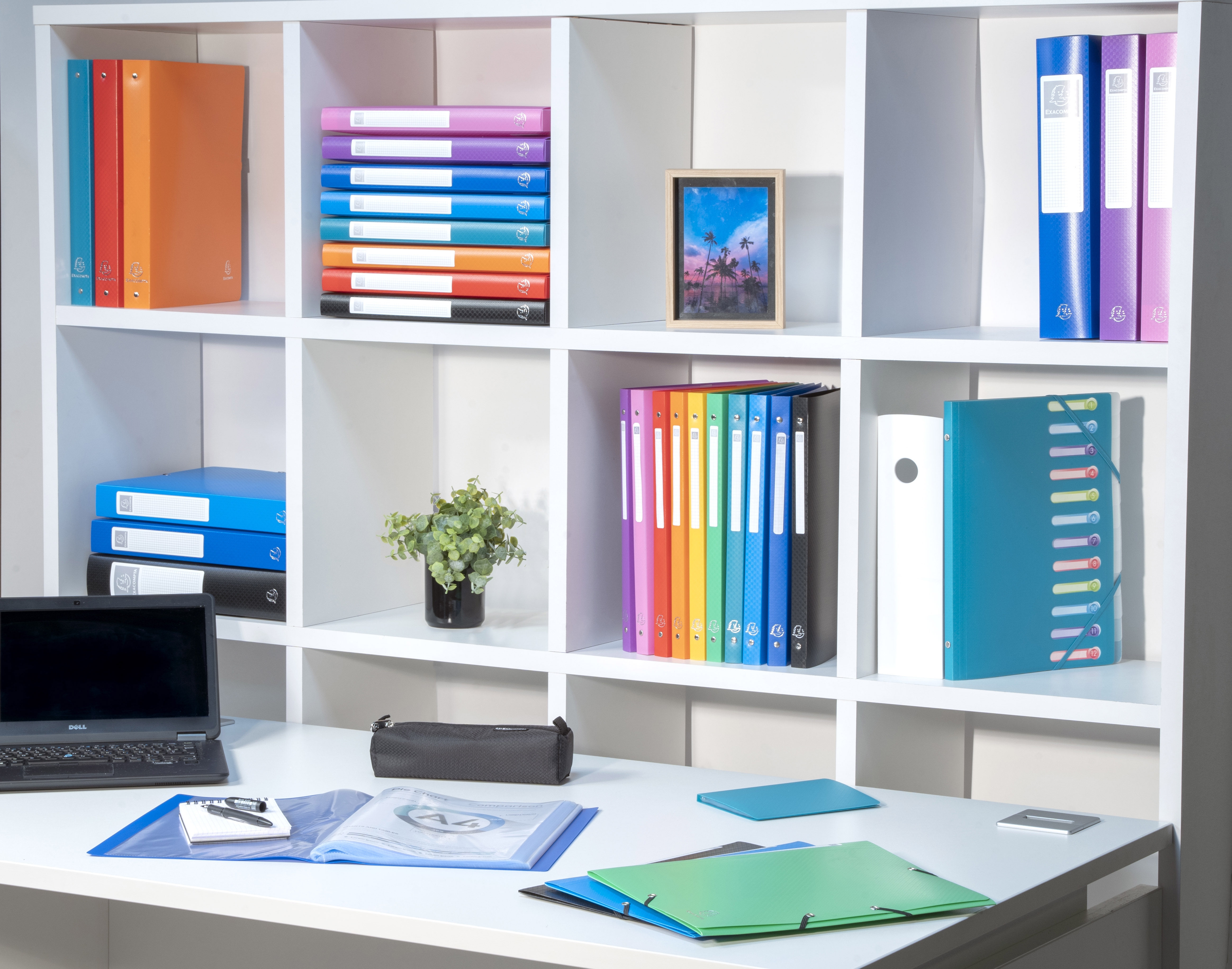 Classeur 4 anneaux 15mm polypropylene OPAK - A4 En polypropylene structure mat, antitache et anti-rayure, le cahier-classeur Opak est un produit du quotidien pour les professionnels comme les scolaires. La mecanique a anneaux ouverture simple permet de ra