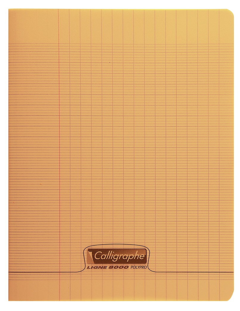 Cahier pique 8000 POLYPRO 24x32 cm 48 pages grands carreaux 90 g