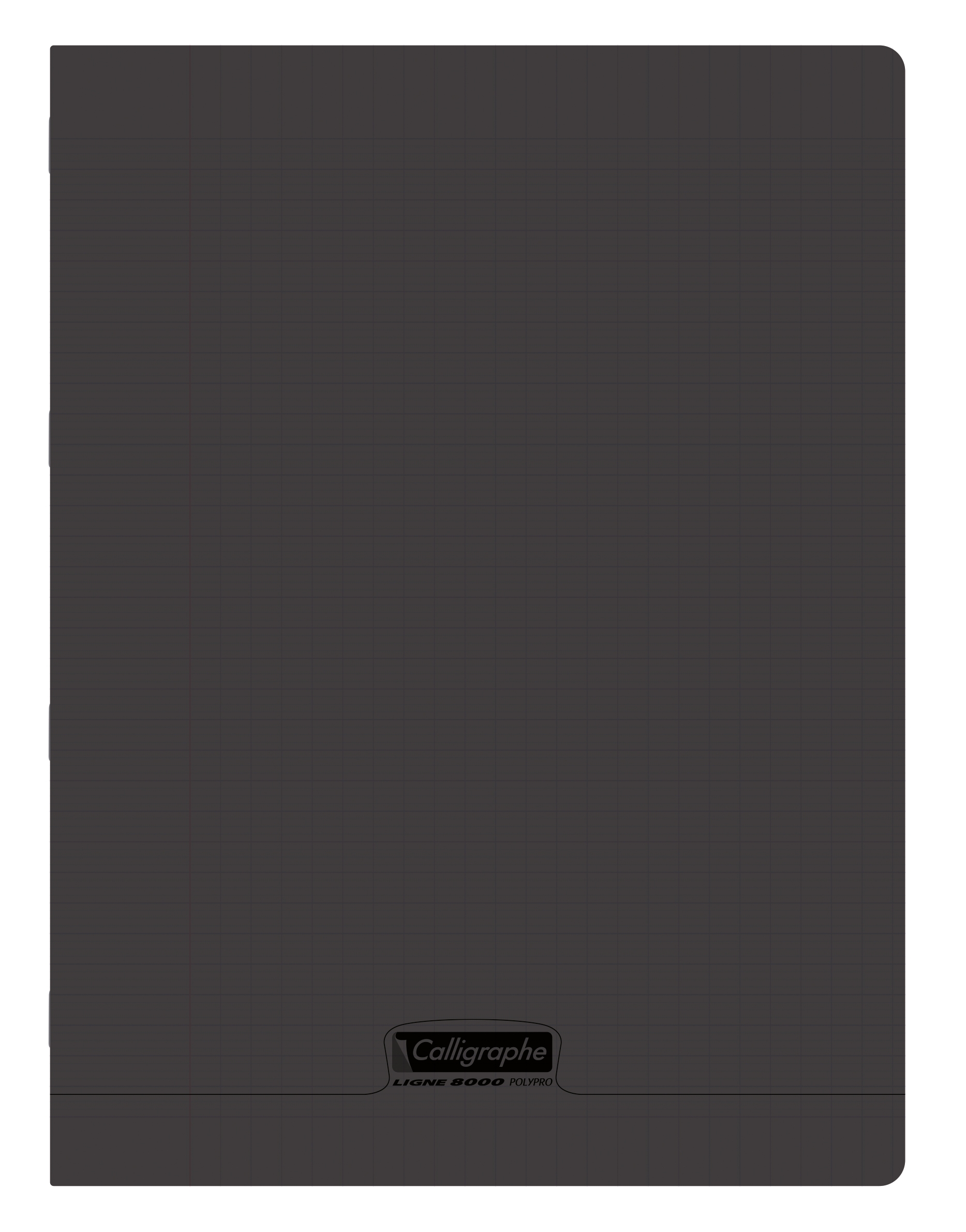 Cahier pique 8000 POLYPRO 24x32 cm 48 pages grands carreaux 90 g