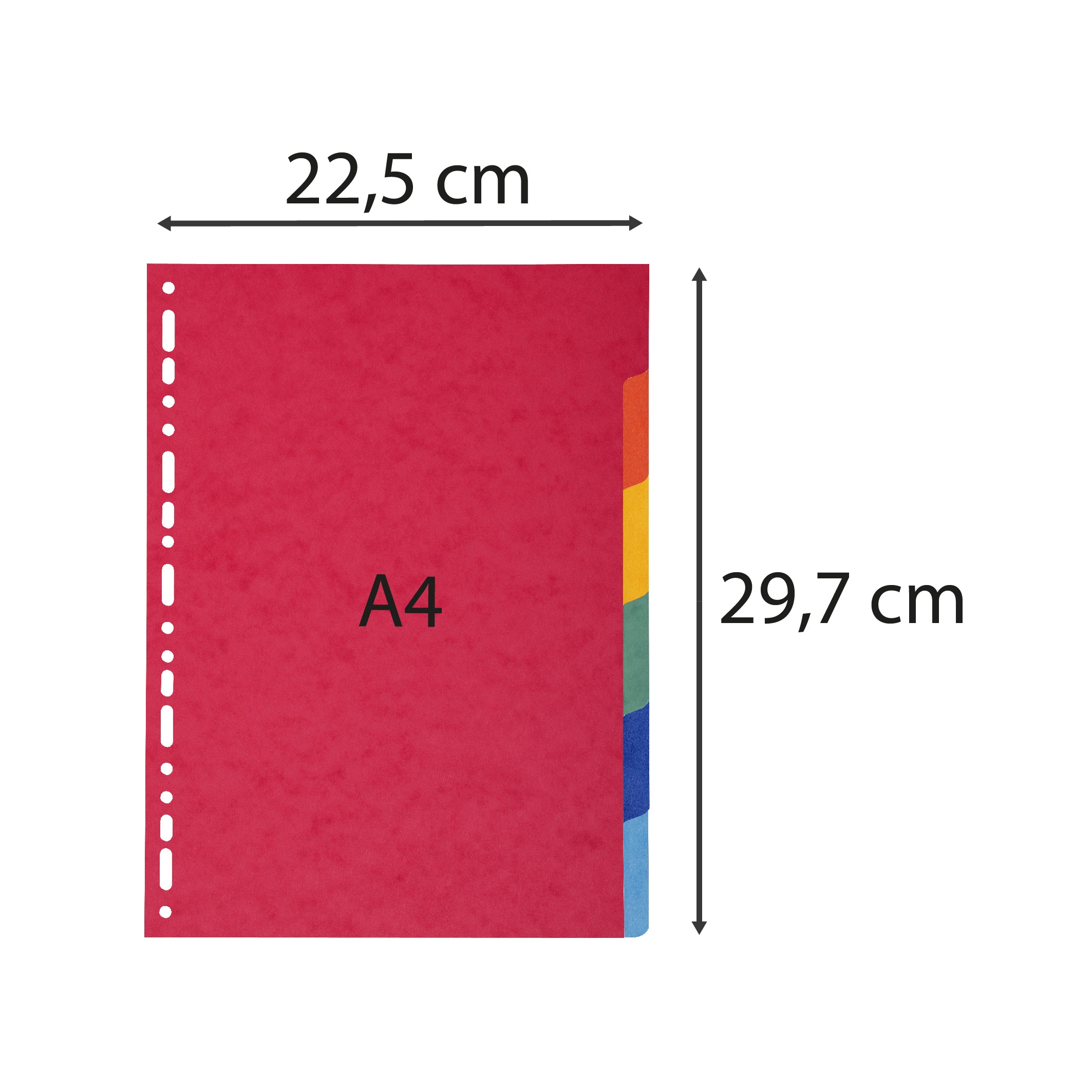 Intercalaires carte marbree 220g/m2 6 positions - A4 Le plus economique des intercalaires couleurs vives. Livre sans encart. Carte recyclee certifiee Ange Bleu.