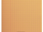 Cahier pique 8000 POLYPRO 24x32 cm 48 pages grands carreaux 90 g