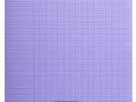 Cahier pique 8000 POLYPRO 17x22 cm 96 pages grands carreaux 90 g