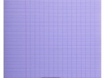Cahier pique 8000 POLYPRO 24x32 cm 48 pages grands carreaux 90 g