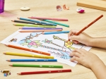 BIC ECOlutions Bâtons de Colle Blanche - 8 g, Pochette de 5