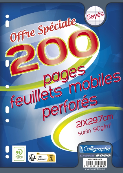 Feuillets mobiles sous film A4 200 pages perforees grands carreaux