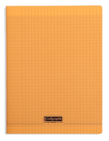 Cahier pique 8000 POLYPRO 24x32 cm 96 pages grands carreaux 90 g