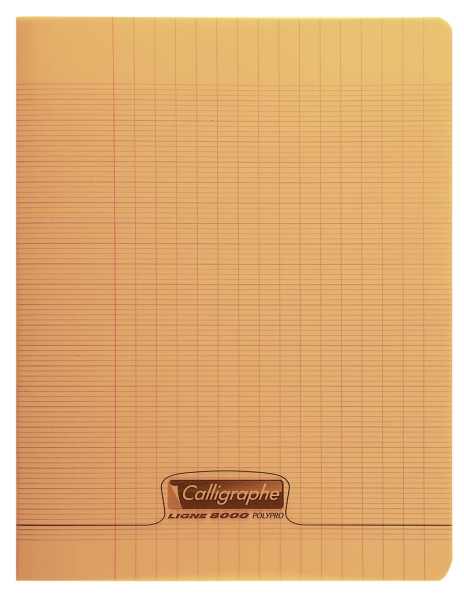 Cahier pique 8000 POLYPRO 24x32 cm 48 pages grands carreaux 90 g