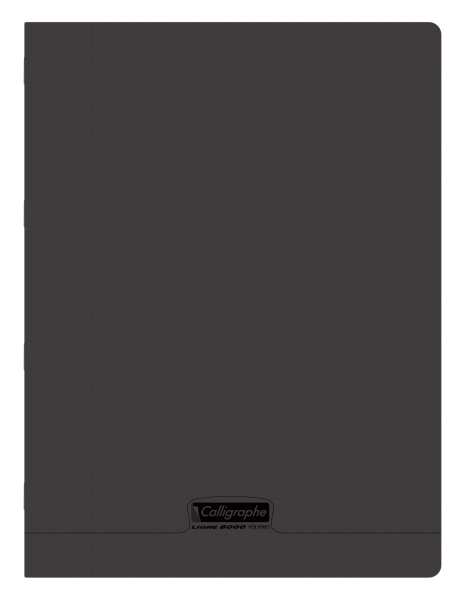 Cahier pique 8000 POLYPRO 24x32 cm 48 pages grands carreaux 90 g
