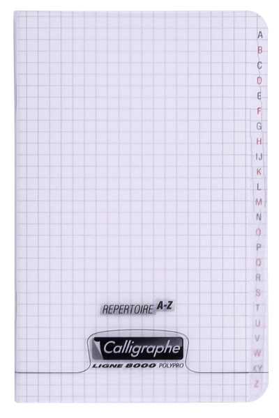 Repertoire pique 8000 POLYPRO 11x17 cm 96 pages petits carreaux 90 g