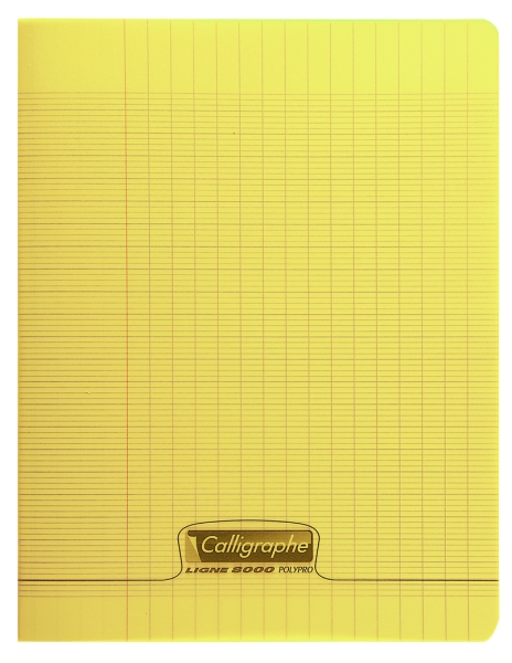 Cahier pique 8000 POLYPRO 17x22 cm 96 pages grands carreaux 90 g